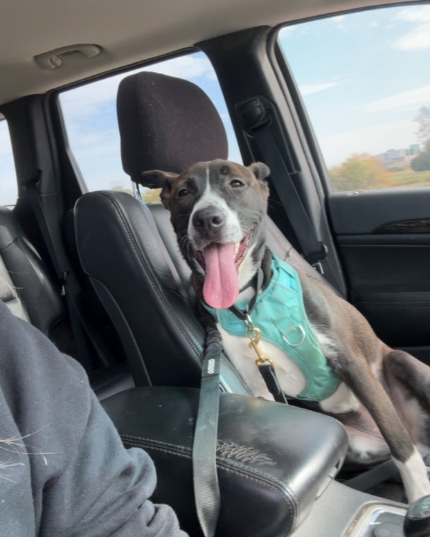 miss maggie
