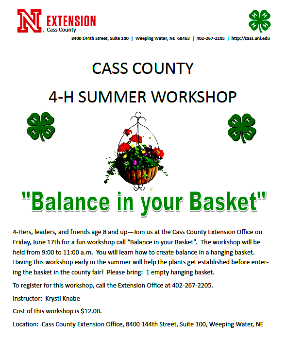 2016 06 15 4 H Balance Baskets