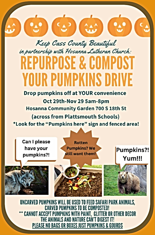 2025 10 15 KCCB Pumpkin recycle