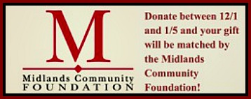 2014-12-31 MDLNDS__COMM_FOUNDATION