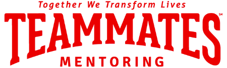 2017 03 29 teammates logo 2x