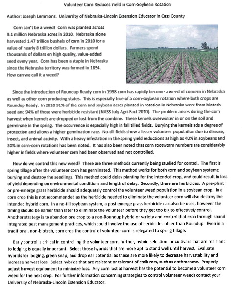 2011-04-06_Volunteer_corn_reduces_yields
