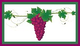 Grapes-Green-Leaves--Grapevine