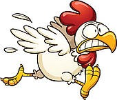 2014-04-30 SCARED_CHICKEN