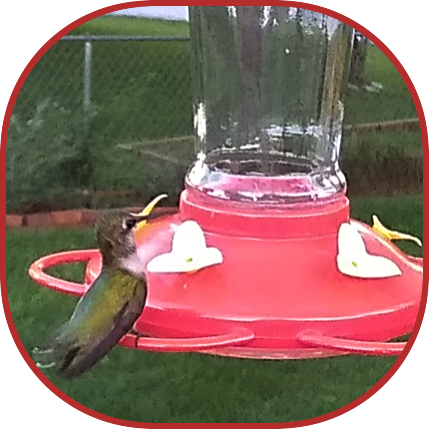 2023 09 06 HUMMER 1 1