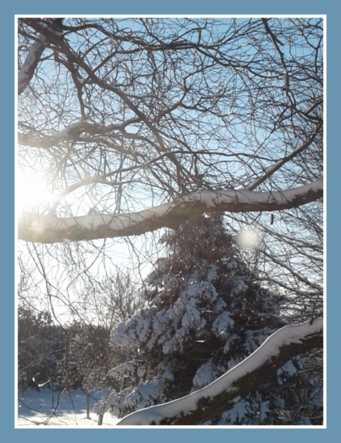 2018 12 05 From our south kitchen window 5