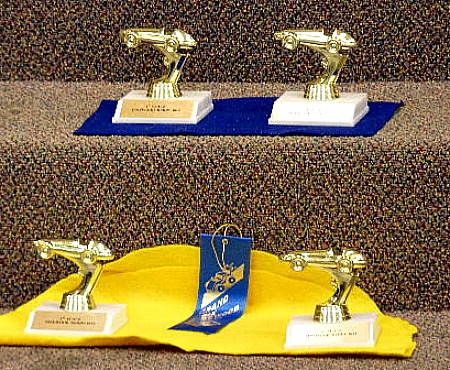 The trophies_and_participation_ribbons_picnik
