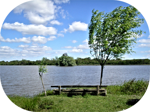 2018 07 18 peaceful lake bench