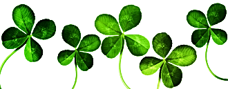 clover 1x