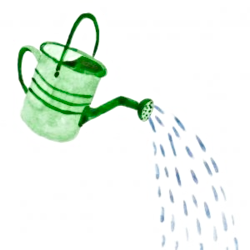 flowers watering can