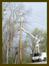2014-02-05 arborist