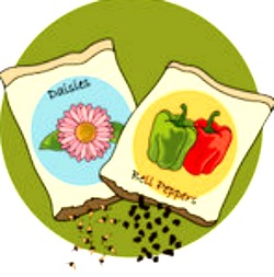 2015-01-21 Seed_Packet