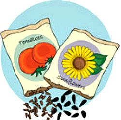 2015-01-21 seed_packets