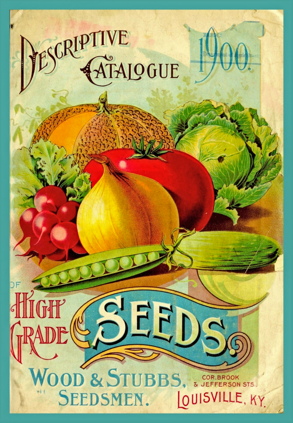 seed catalog
