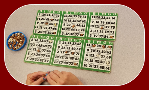 2017 07 04 Bingo