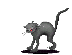 animated black cat