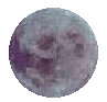 witch moon animated