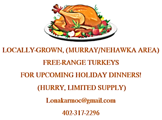 2020 11 11 TURKEYS 4 sale