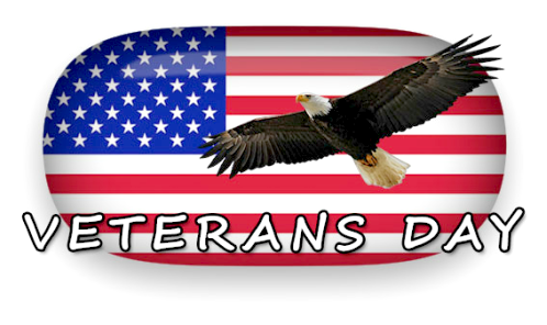 2017 11 08 veterans day eagle american flag
