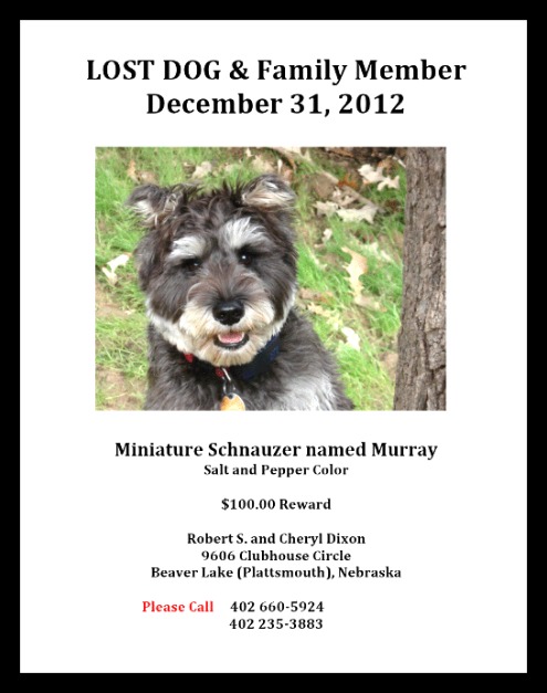 2013-01-02 LOST_DOG_Murray