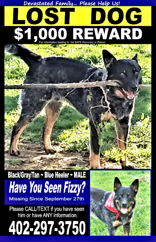 2019 10 09 Fizzy in Cedar Creek Nebraska rev 3 1