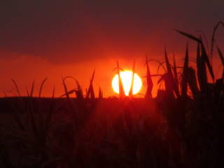 2012-08-08 Sunset_at_Murray