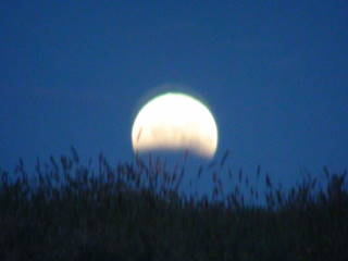 2014-10-08 Lunar_eclipse_end