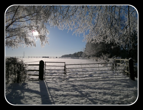 early morning snow scene