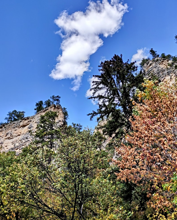 2025 10 02 Black Hills