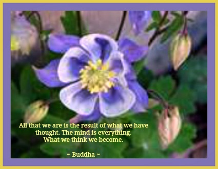 2014-07-30 quote_COLUMBINE