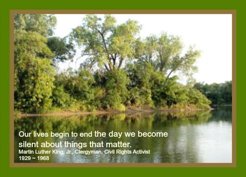 2014-08-26 MLK_quote