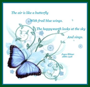 2015-06-03 BlueButterflyHibiscusFlowersVines