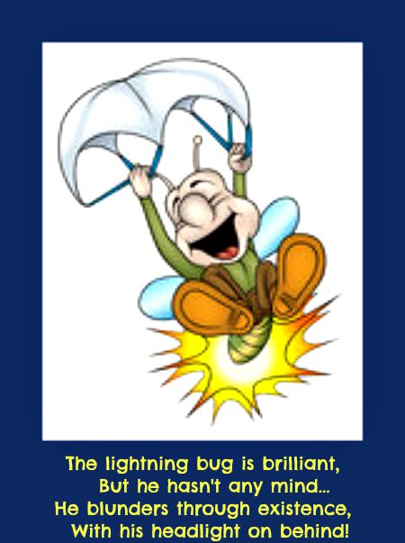 2015-07-22 Ltningbug