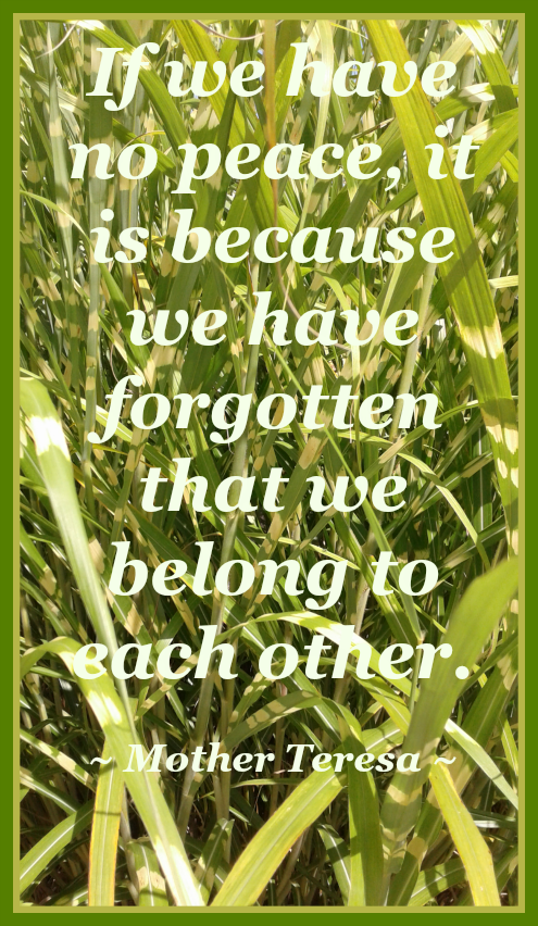 2017 08 30 quote