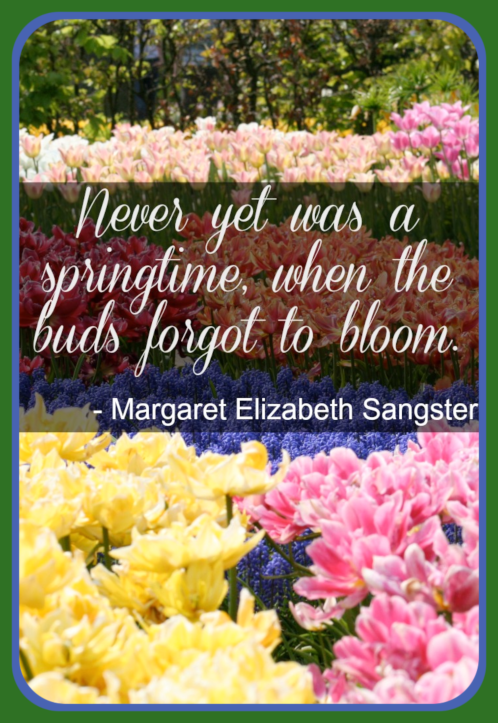 2019 04 10 spring quote