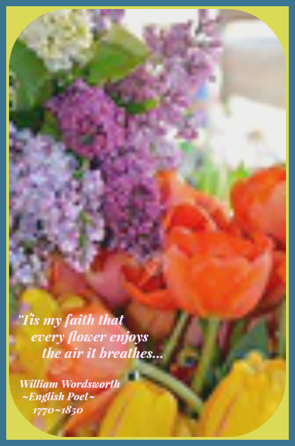 tulips and lilacs 1