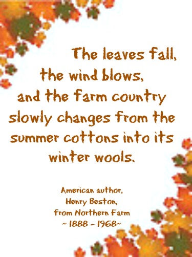 2014-11-12 Leaf_corners