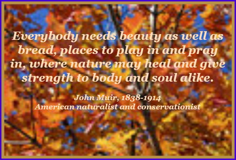 2016 10 05 AUTUMN LEAVES quote