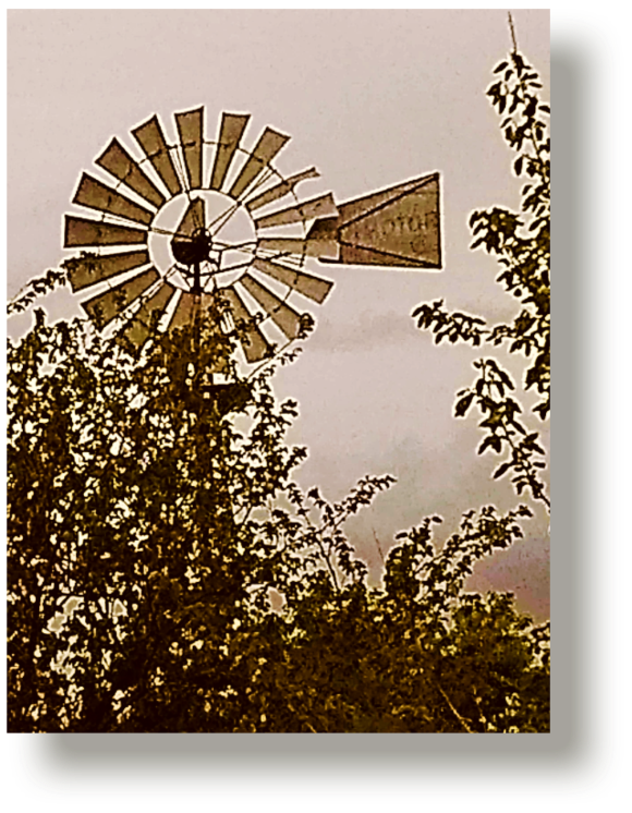 2021 11 10 Windmill