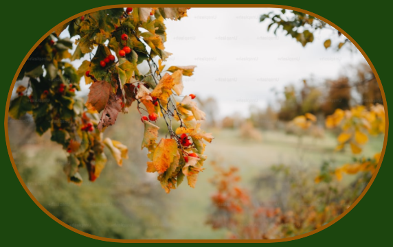 2023 09 06 SEPTEMBER IMAGE 1