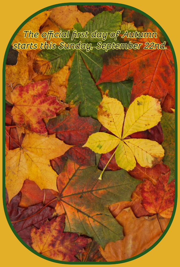 2024 09 18 fall quote