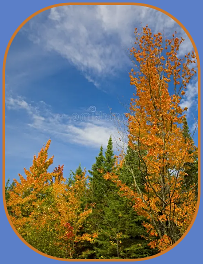 2025 09 17 September