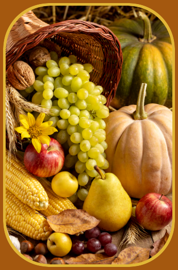 2025 10 08 veg fruits harvest