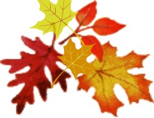 Fall-Leaves