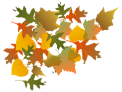 fall leaves L