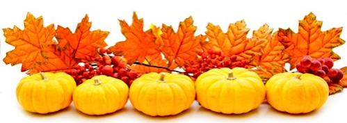 pumpkins leaves