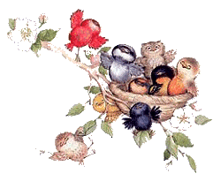 2014-03-19 BIRDS_CHIRPING