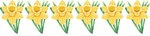 2015-03 Daffodil_border