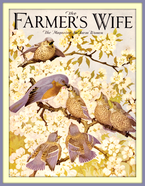 2016 04 06 Farmers Wife mag cover June 1934