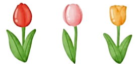 2023 03 22 3 tulips 1